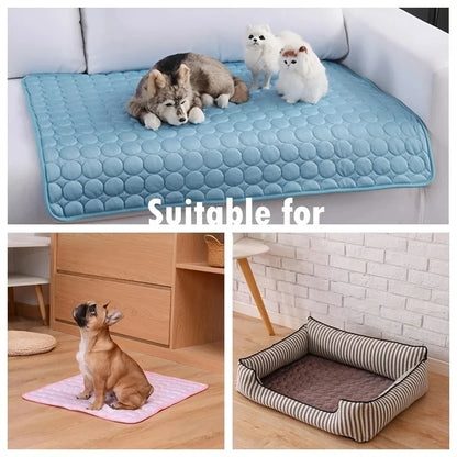 Tapis Rafraîchissant pour Chien et Chat – Protection Anti-Chaleur