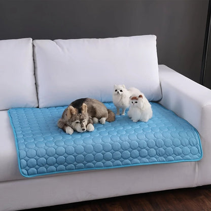 Tapis Rafraîchissant pour Chien et Chat – Protection Anti-Chaleur