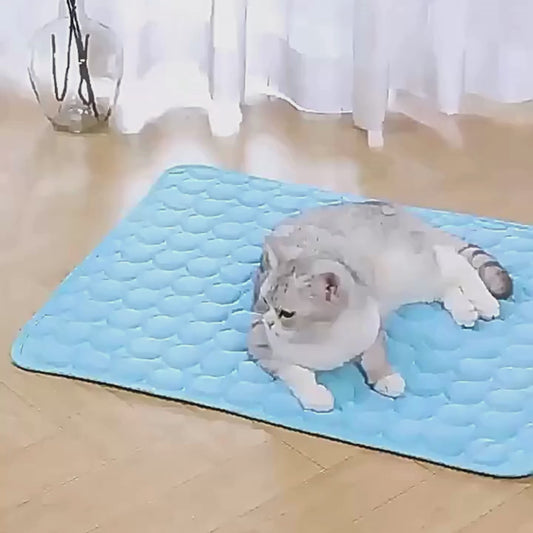 Tapis Rafraîchissant pour Chien et Chat – Protection Anti-Chaleur